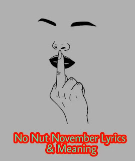 No Nut November Lyrics Meaning In Bengali (নো নাট নভেম্বর) - NNN Meaning