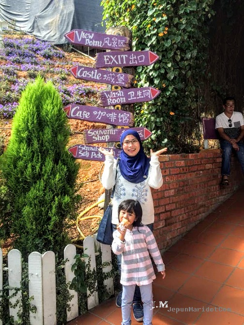 Cameron Highland : jalan-jalan di Cameron Lavender Garden 