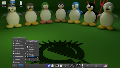 openSUSE 12.2 Enlightenment E17 change background