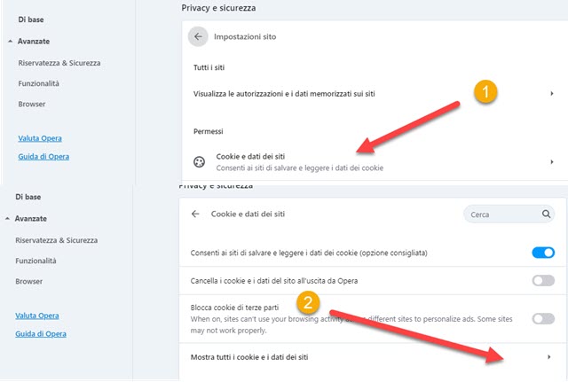 visualizzare tutti i cookie di opera browser