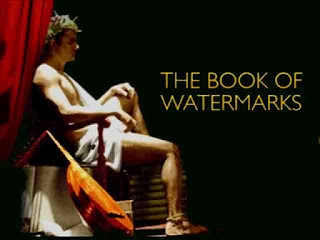 https://collectionchamber.blogspot.com/2017/07/the-book-of-watermarks.html