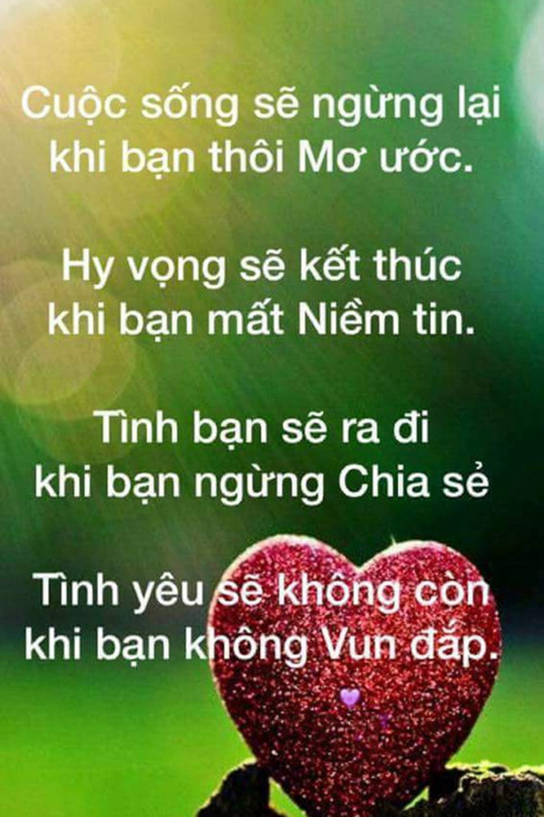 Lời hay ý đẹp