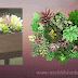 2 Realistic Artificial  Succulents plant for Brighten your living corner