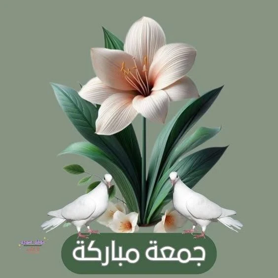 صور جمعه مباركه 2025 صور جمعه مباركه 2025