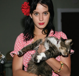 Katy Perry hd Wallpapers 2012