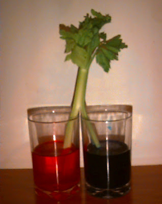 Food Coloring In Water. Food coloring. Water