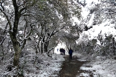 Camino de Amaritu