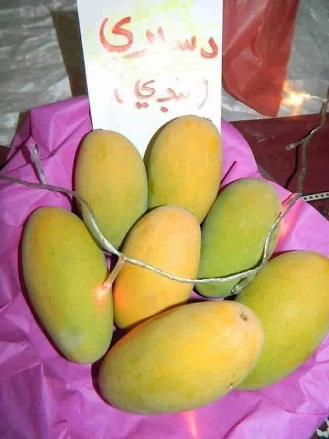 How many types of mangoes in Pakistan