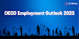 OECD Employment Outlook 2025