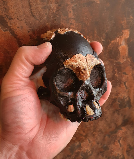Реконструкция черепа Лети (Homo Naledi) в руке профессора Ли Бергера