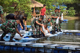penebaran benih ikan