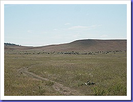 DSCN2701