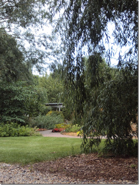DSC01619