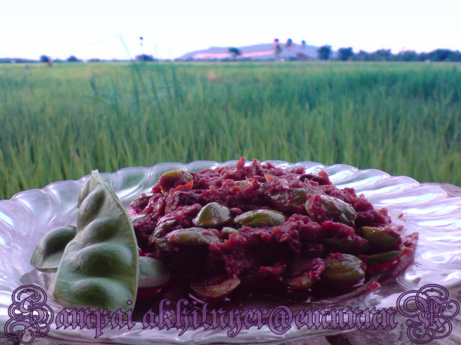 Sampai akhirnyer: SAMBAL PETAI