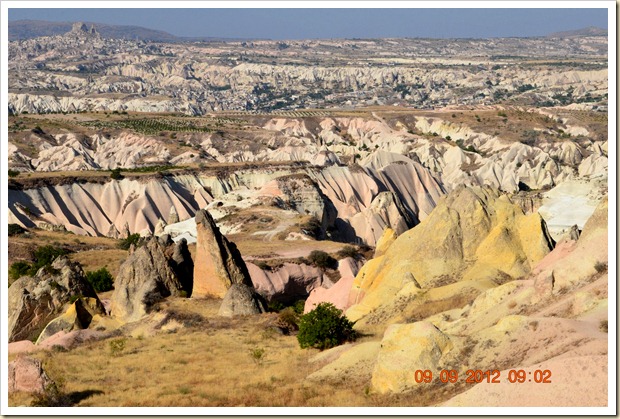 DSC_1029 DSC_1029