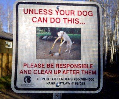 KOUTAVAKI: Funniest Dog Signs: I