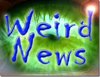 weird news