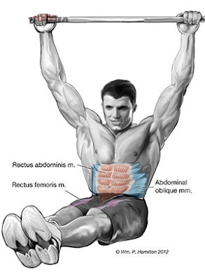  Abdominal Exercises