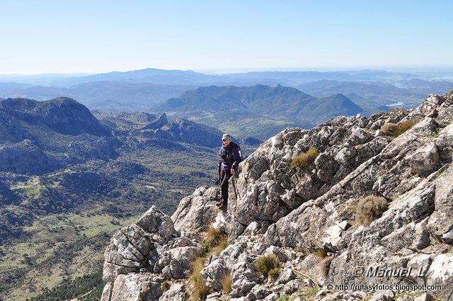 Crestería Sierra del Pinar