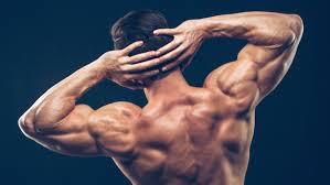 Top 3 muscles that makes you bigger and more attractive