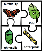  https://www.teacherspayteachers.com/Product/Butterfly-Life-Cycle-3664106