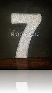 Reflective Number 7