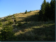 DSCN1147