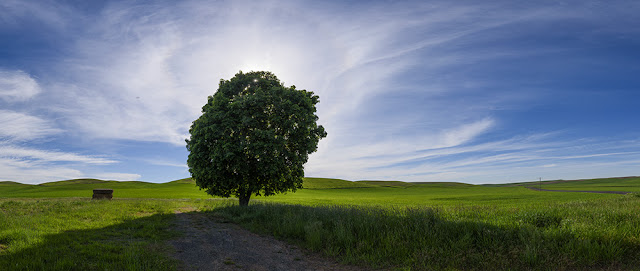 The Palouse, Eastern Washington