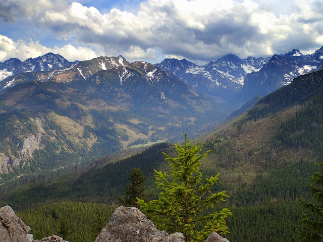 Wiosenne widoki z Gęsiej Szyi (1489 m n.p.m.)