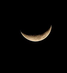 DSC_6305