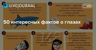 интересные факты