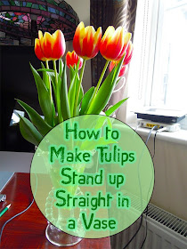 How to Make Tulips Stand Up Straight in a Vase