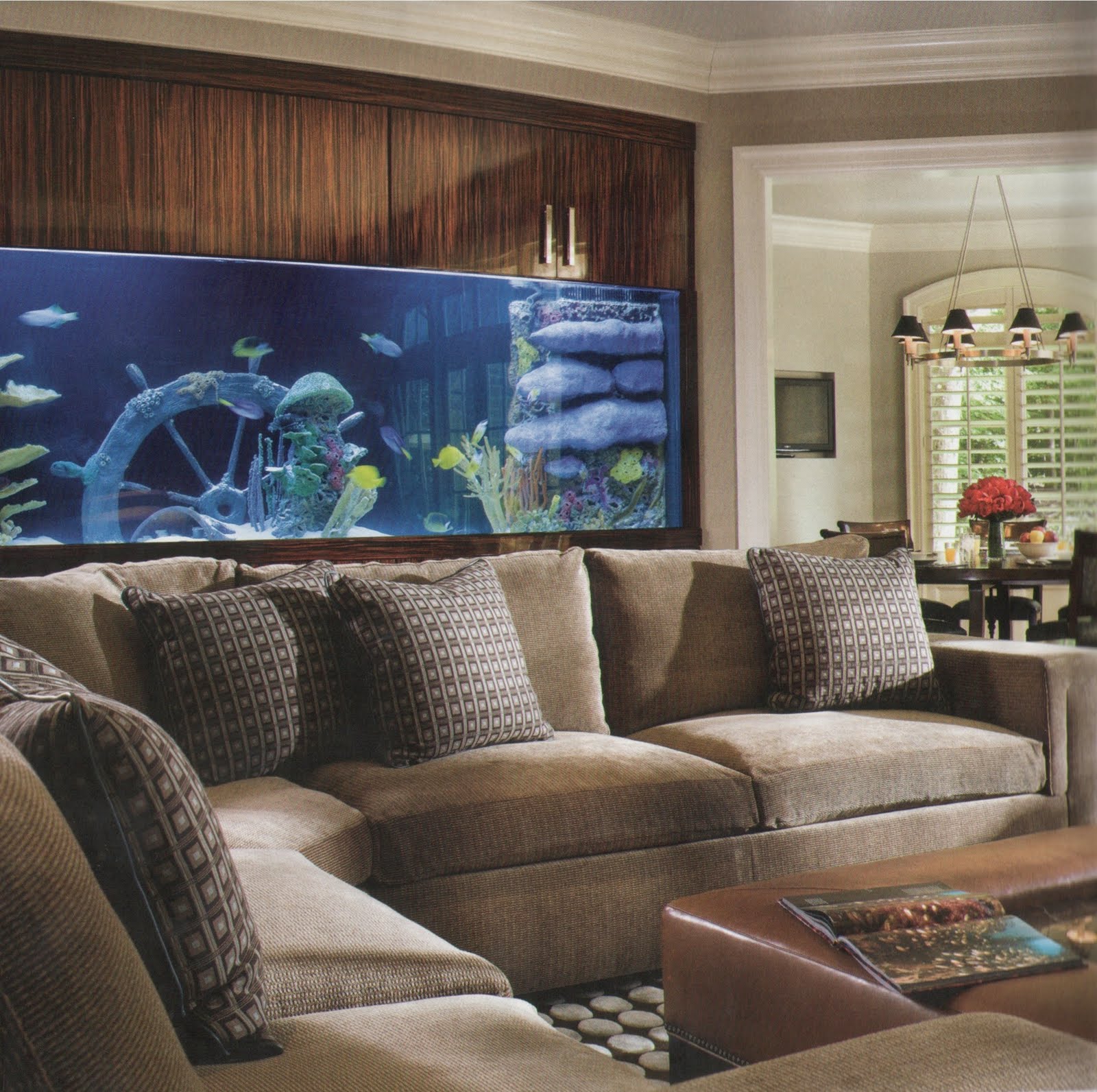 City Aquarium - Custom Aquariums / Aquarium Design - Creating ...