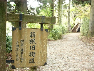 P1030147jpg