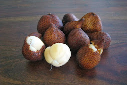 Manfaat Buah Salak