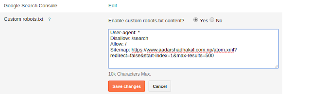 custom robots.txt