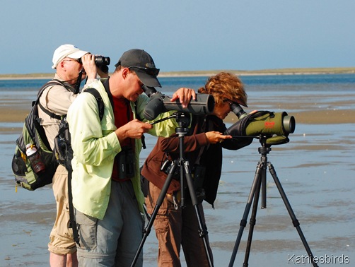 1. Birding team-kab