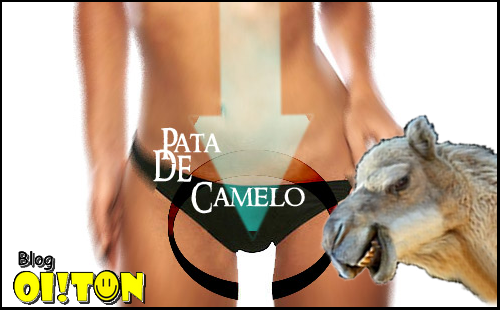 Pata de Camelo das Famosas