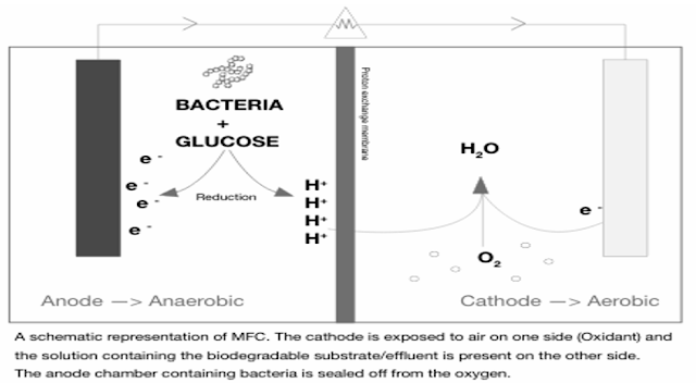 Microbial fuel cell Diagram