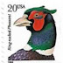 1998 -  EUA  - Ring-necked Pheasant