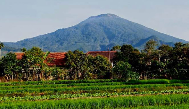 3 Taman Nasional di Jawa Barat