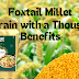 Foxtail Millet: A Grain with a Thousand Benefits