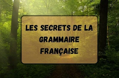 Les secrets de la grammaire française
