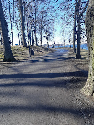 Hatanpään Arboretum, mutainen kävelytie puiden keskellä, puiden välistä pilkottaa järvi