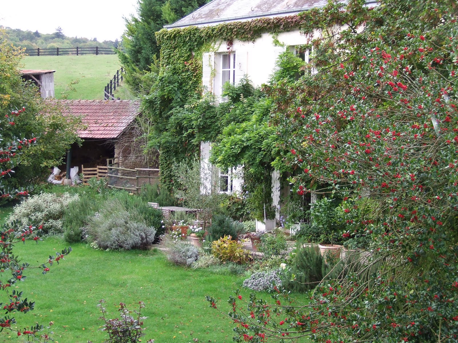 Download this The Cottage... picture