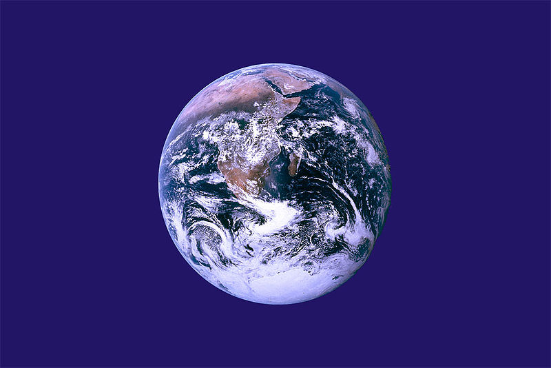 earth day 2011 google. earth day 2011 google image.