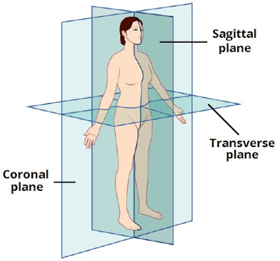 General radiography