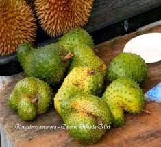 Khasiat buah dan daun durian belanda