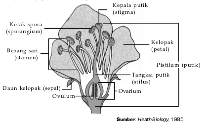 Media Belajar: LAPORAN PRAKTIKUM IPA