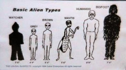 What Do You Think Aliens Are Looking For